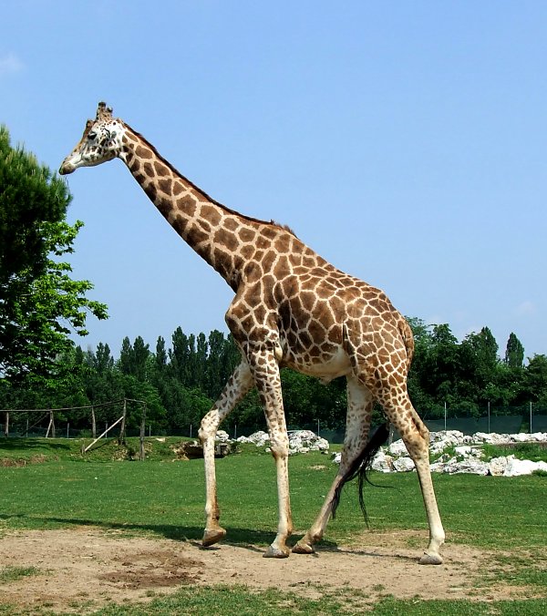 Parco Natura Viva del Garda