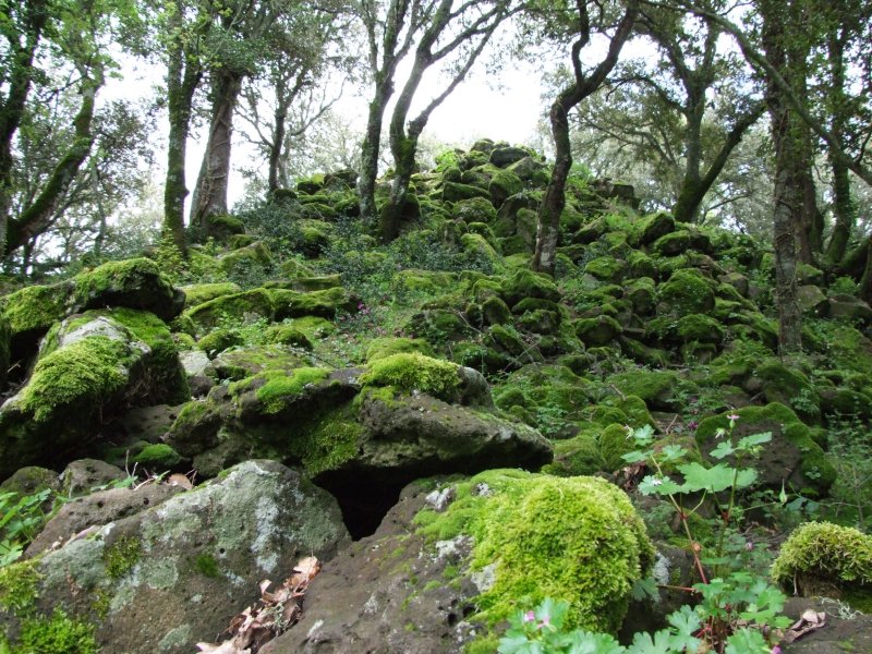 1�Maggio - Foresta Burgos