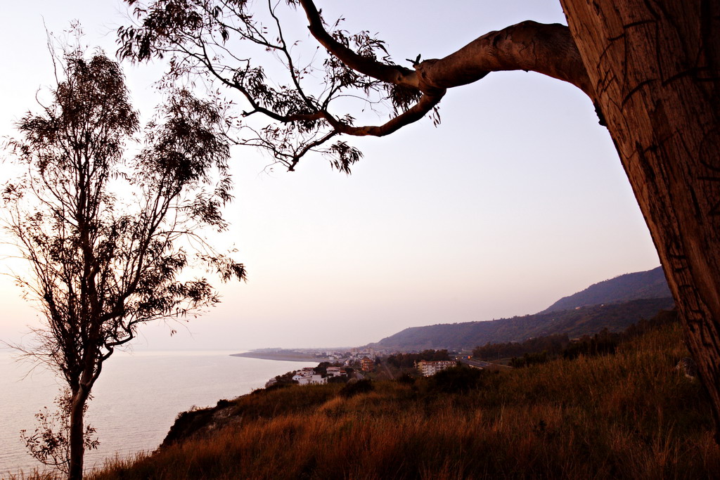 Red dusk reflections II
