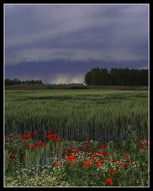 In attesa della pioggia