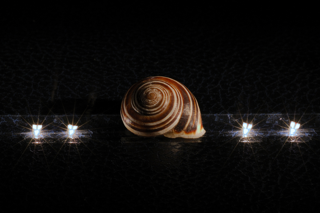 e-mail incompleta...