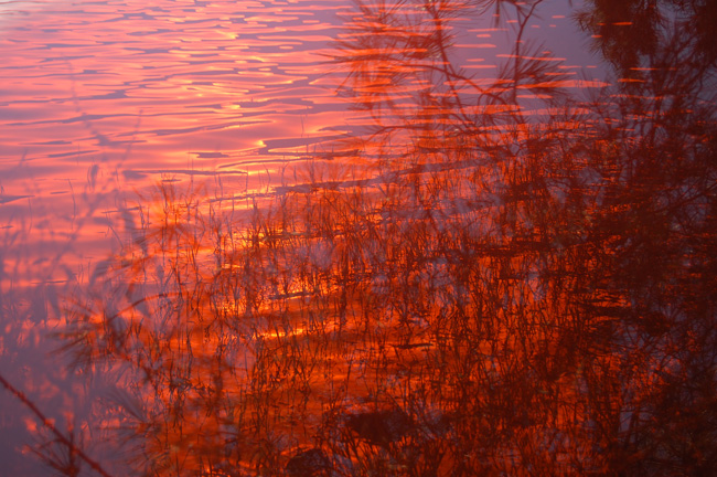 "trasparenze riflesse..."