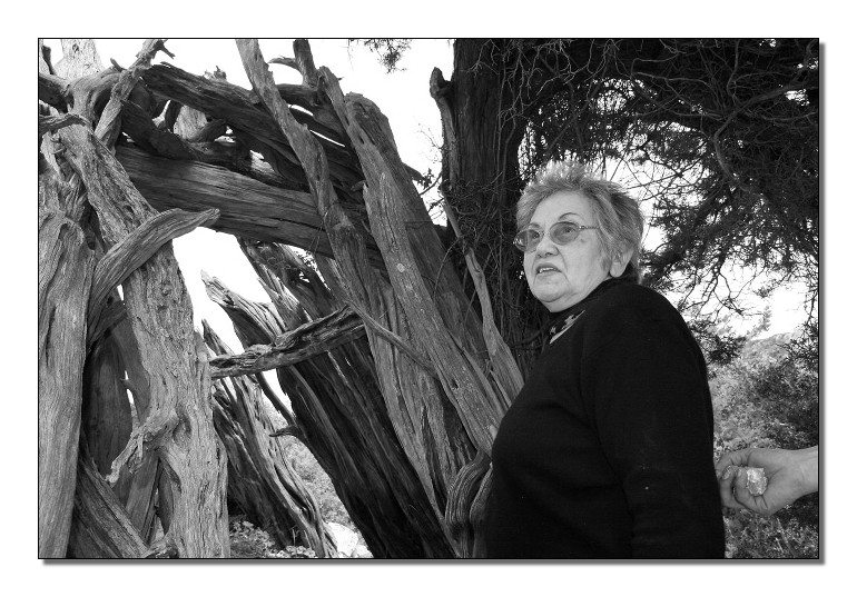 Io sono una forza del passato