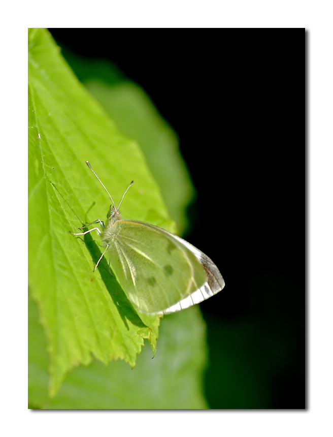 prima di andare a nanna