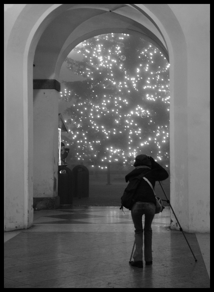 Che bell......albero di natale..... :)