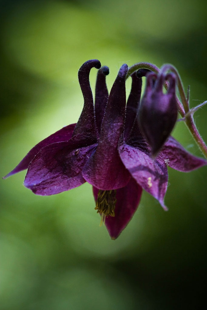 Qual'� il tuo nome?