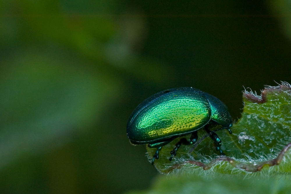 Avevo un sonno ..che mi sono addormentata sopra al piatto!!