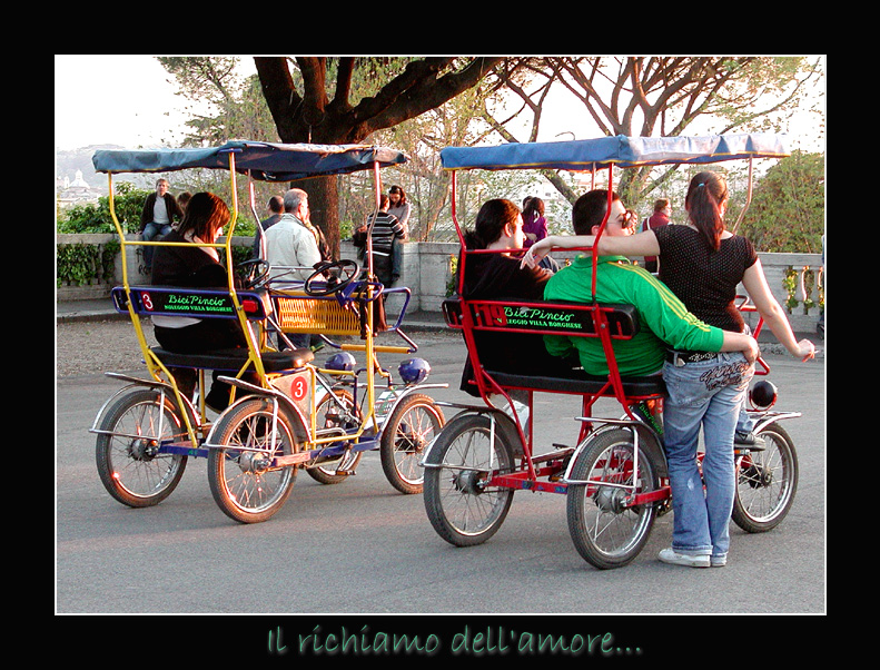 Il richiamo dell'amore