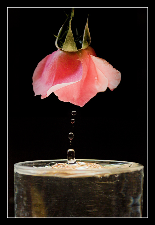 Sono gocce di memoria...