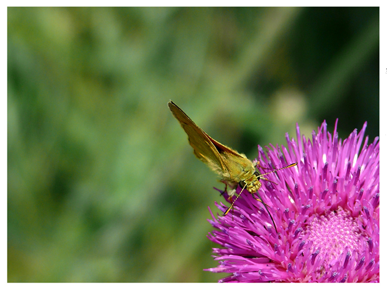 Con la cannuccia c� pi� gusto!!!