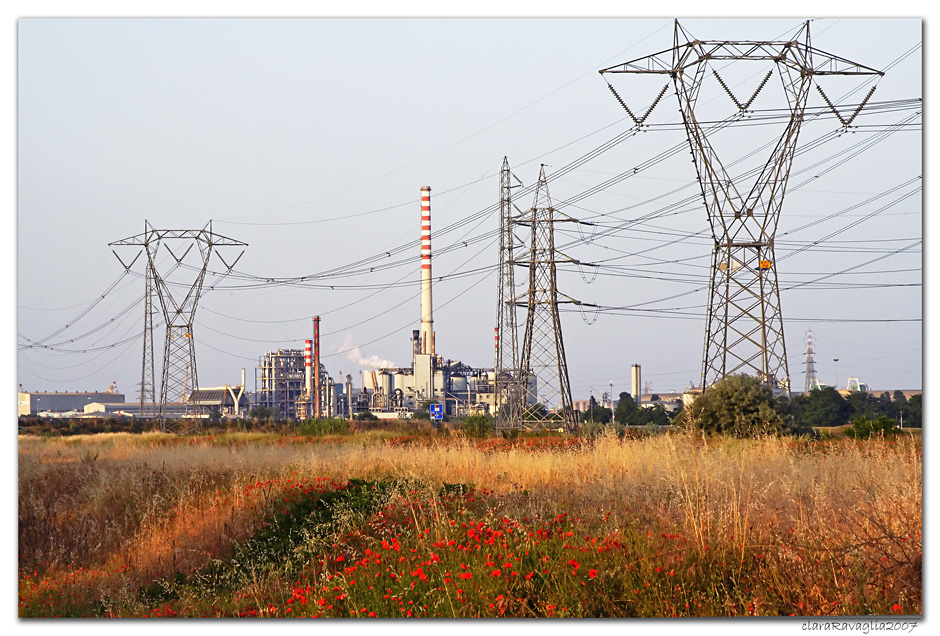 I Mostri della pianura...........