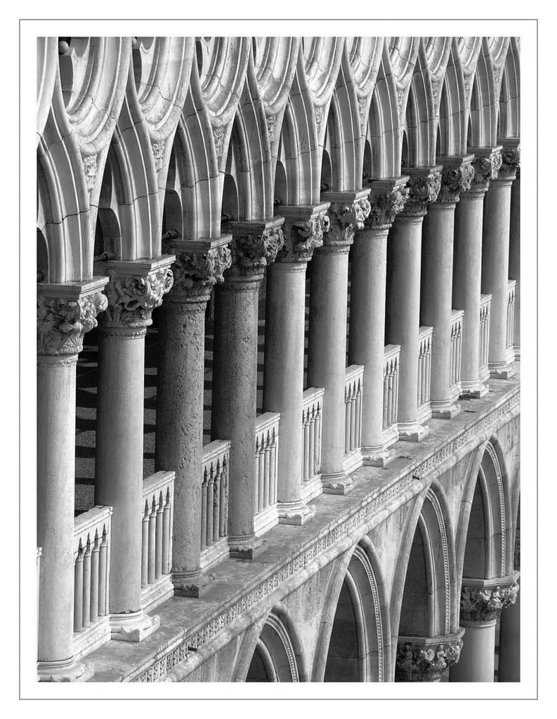 Le pecore...rosa! BN