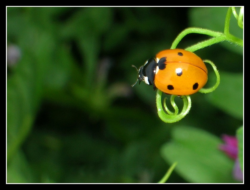 Scrutare l' infinito...