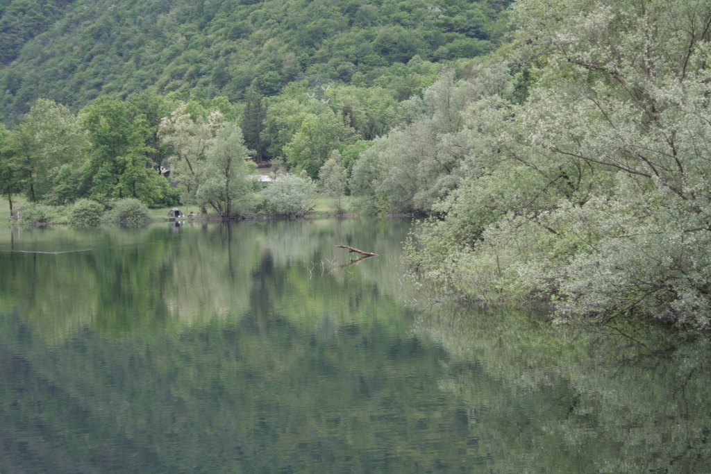 Lago di Ghirla - ramo