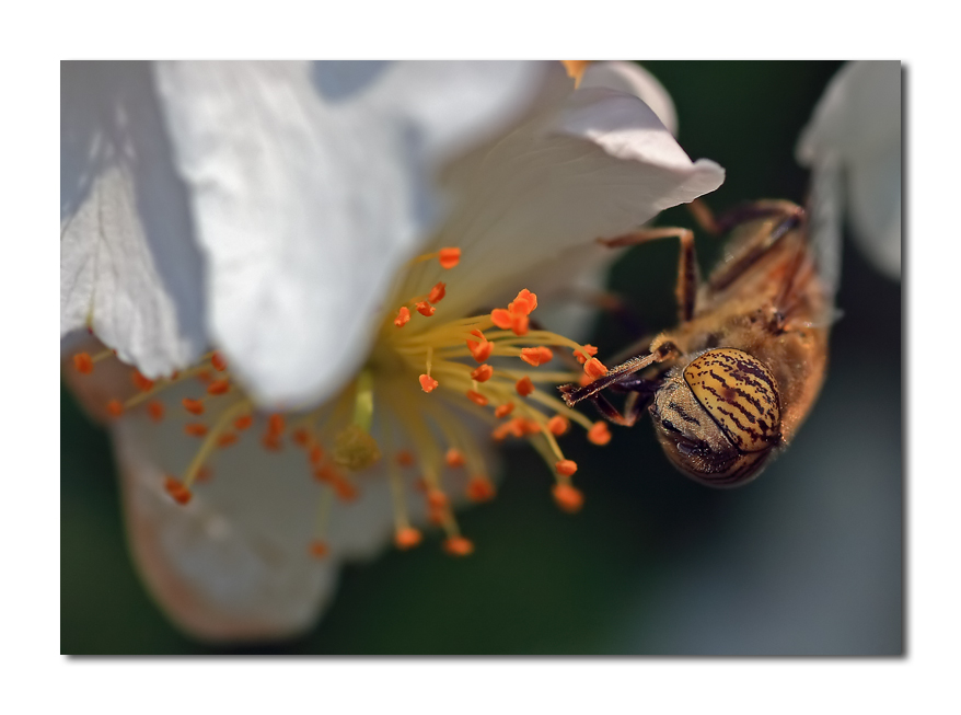 da dove inizio??????