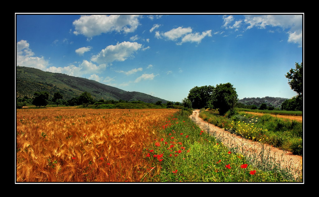 Dolce terra di Ciociar�a