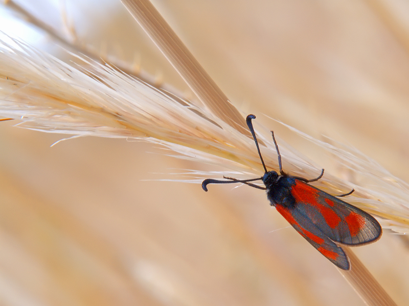 ...quale strada per la luce???....(dedicata a squarta)