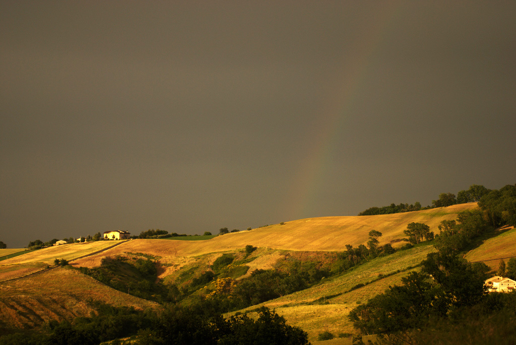 campagna marchigiana