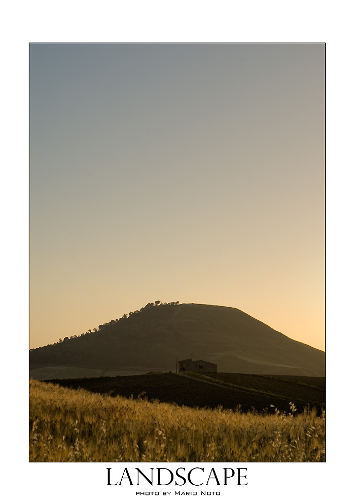 paesaggio in controluce