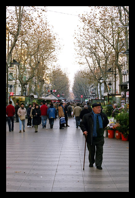 Paseando en la Rambla