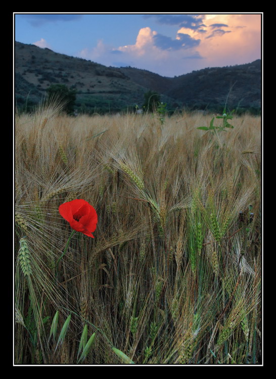 cercando bellezze nascoste