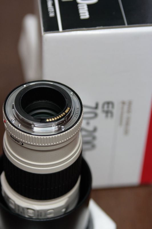 70-200L f4 is