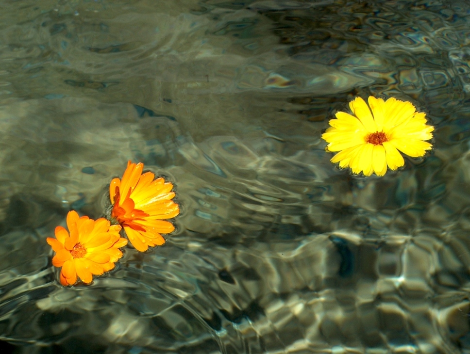 ...� dolce naufragar in questo mar...