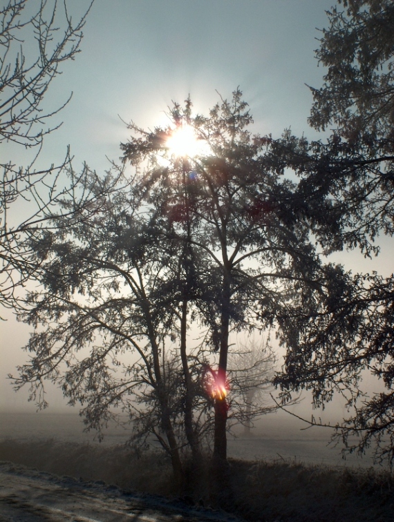 prime nebbie autunnali