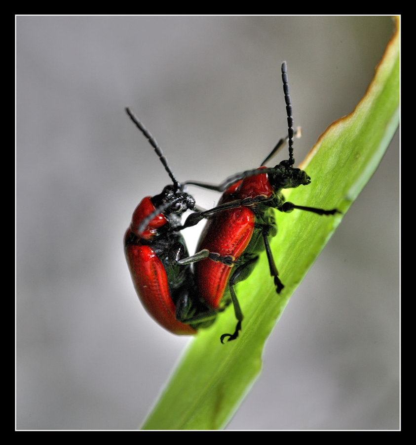 Al centro dell'attenzione