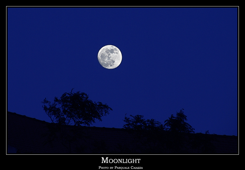 Moonlight