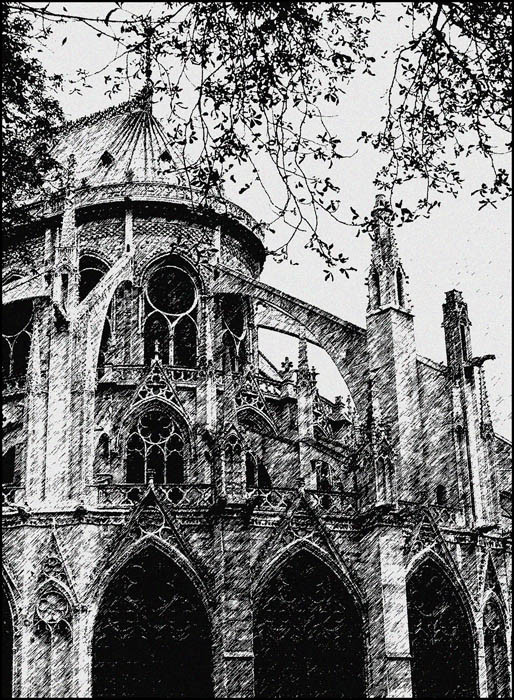 Notre Dame, Esperimento