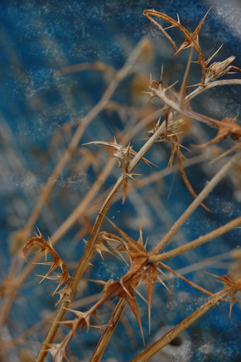 "tra il nascosto il magico e il reale"