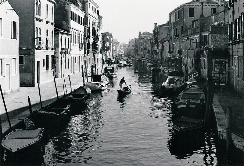 Venezia