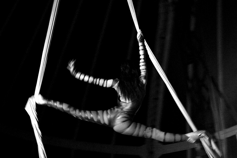 circus, fermo immagine