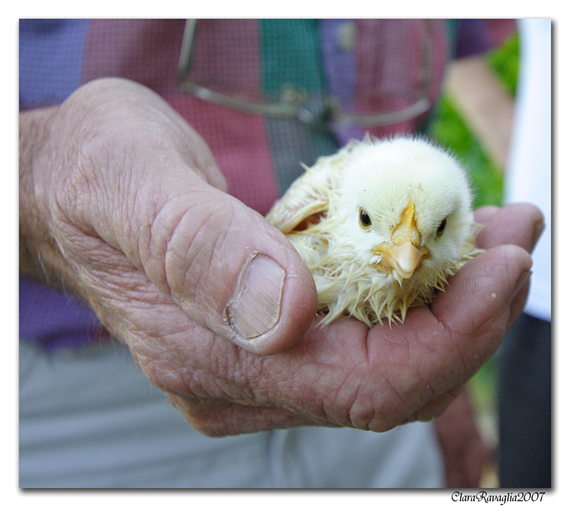 Il Gigante  e.... il Piccolino