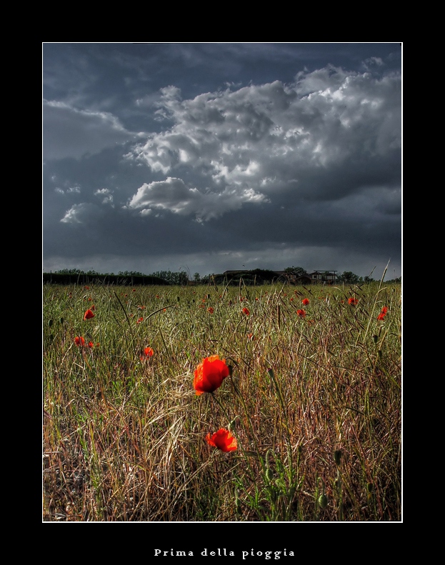 Prima della pioggia