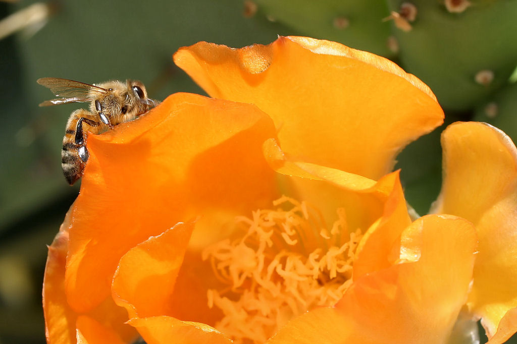 ...il suo paradiso...