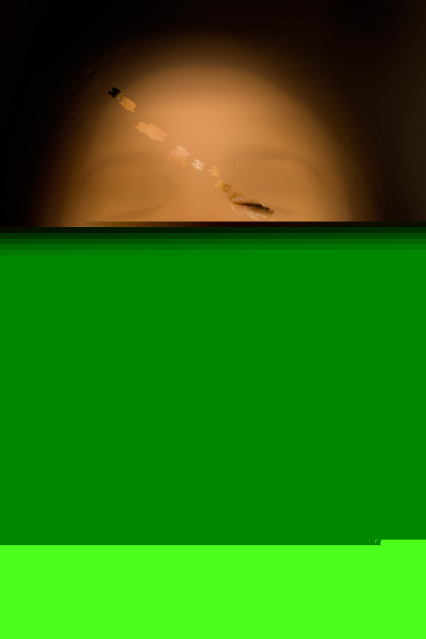 breach in the illusions