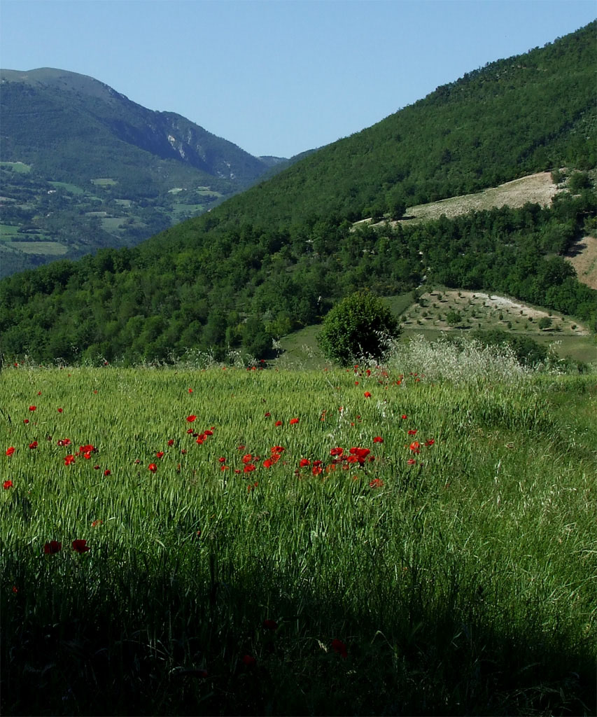 Umbria...2
