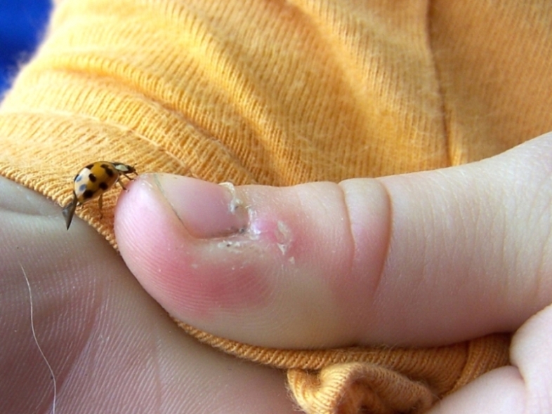 diventiamo un p� pi� amici