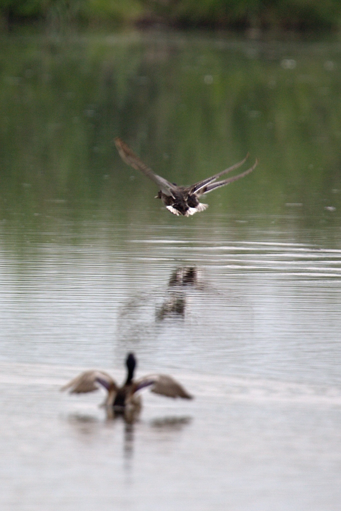 Uno, due e beati gli ultimi se ...