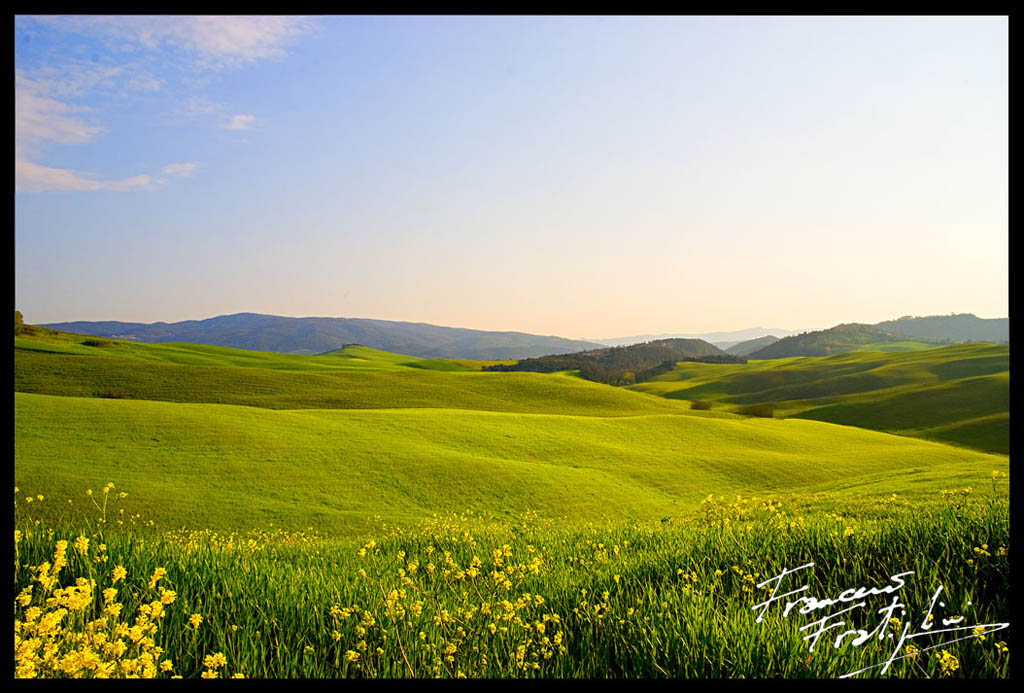 Colline Verdi