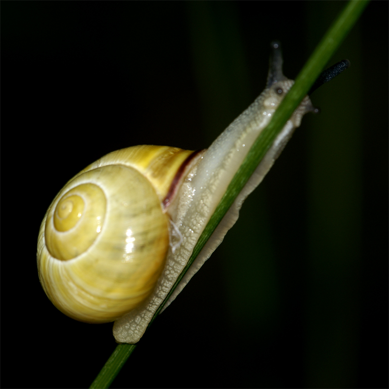 ma che hai da fissarmi cosi'