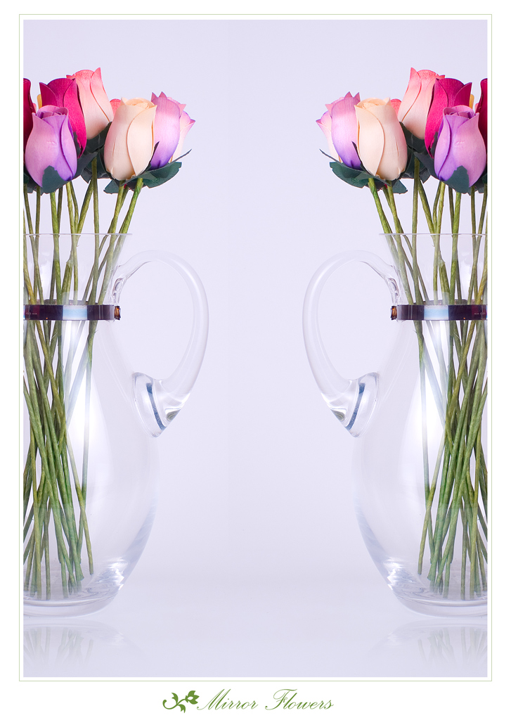 Mirror Flowers