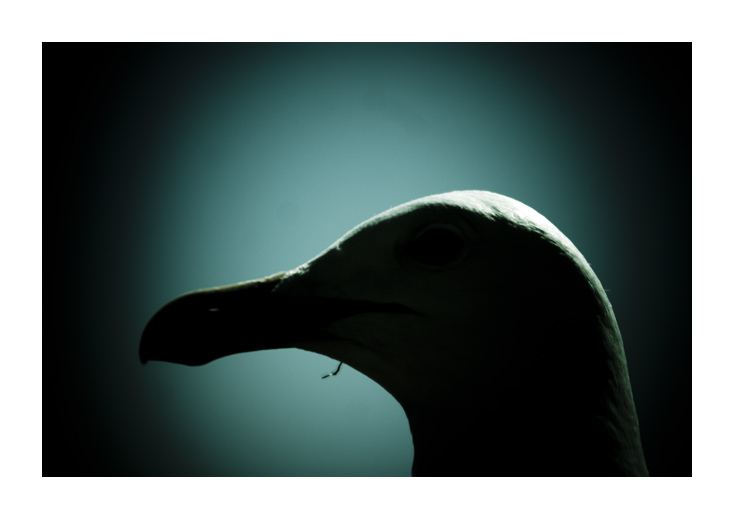 ** presenza inquietante **