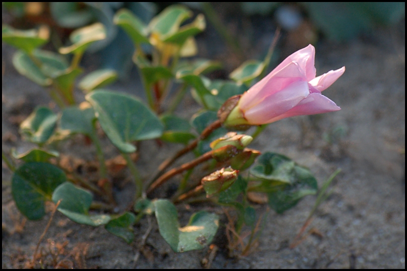 � tempo di svegliarsi