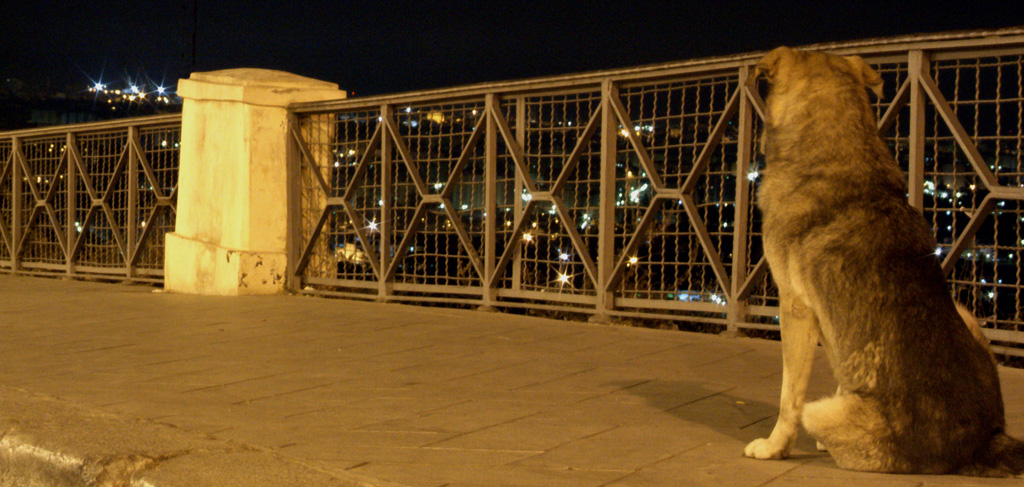 Chi � il protagonista?