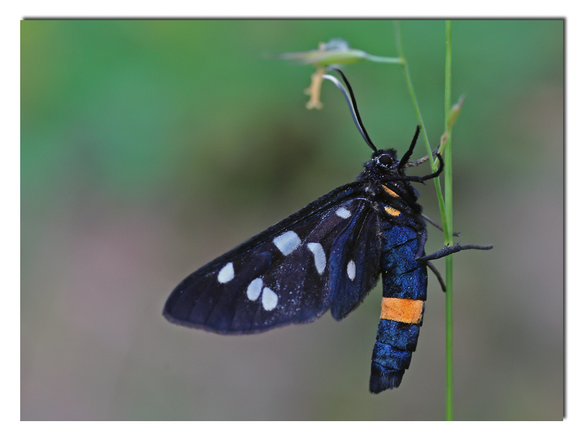 al riparo dalla pioggia