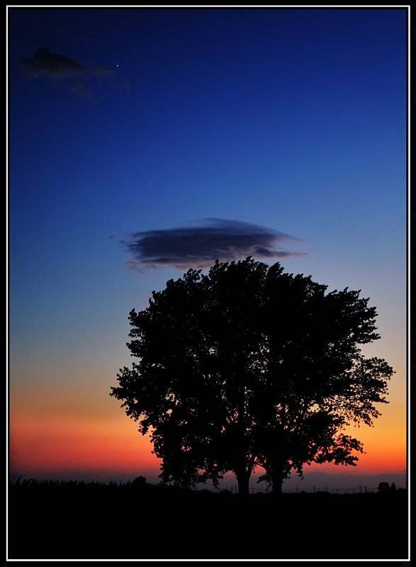 Nasce Venere...nella sera