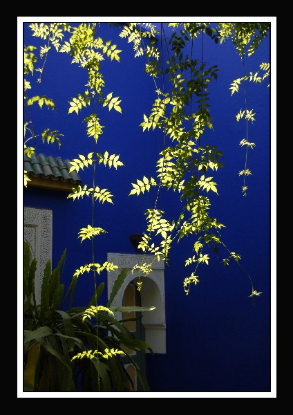 Jardin Majorelle (Marrakech)